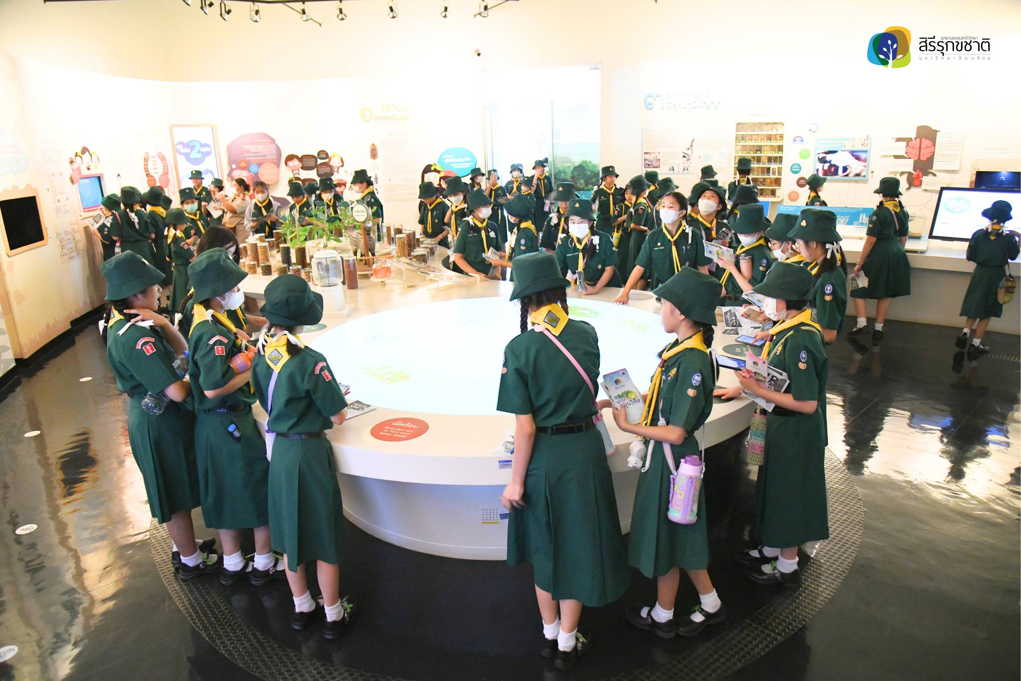 448558890 877588211078048 2726287067436645850 n