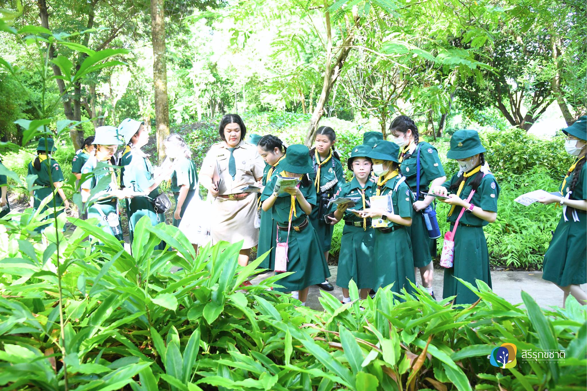 448871929 877588974411305 2521068779860354690 n