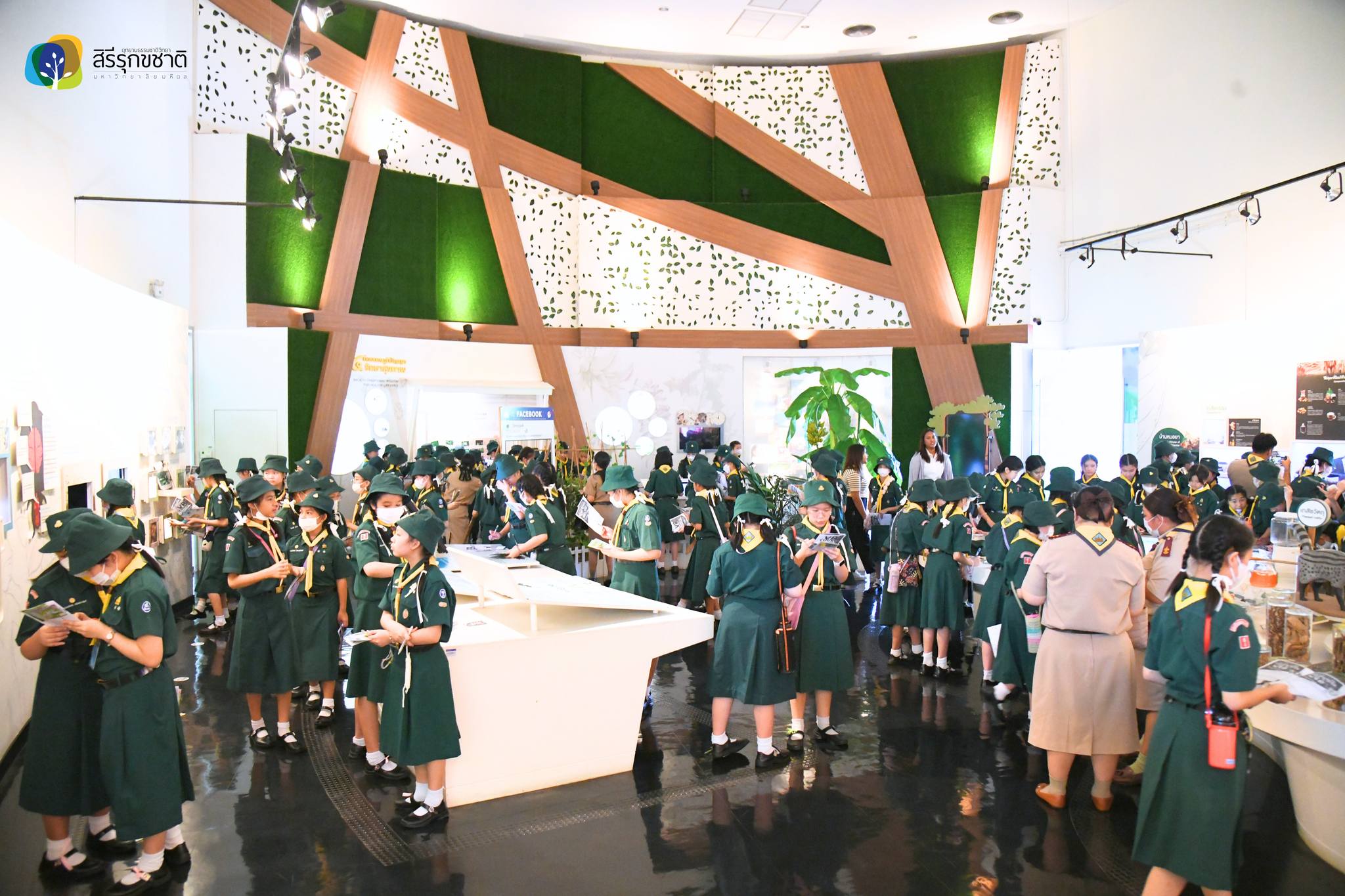 448874143 877588774411325 3656188472533727693 n