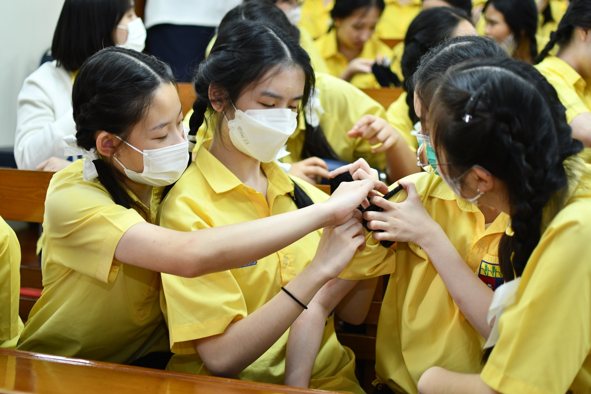 504423415 1116954567125669 1434483733207902664 n