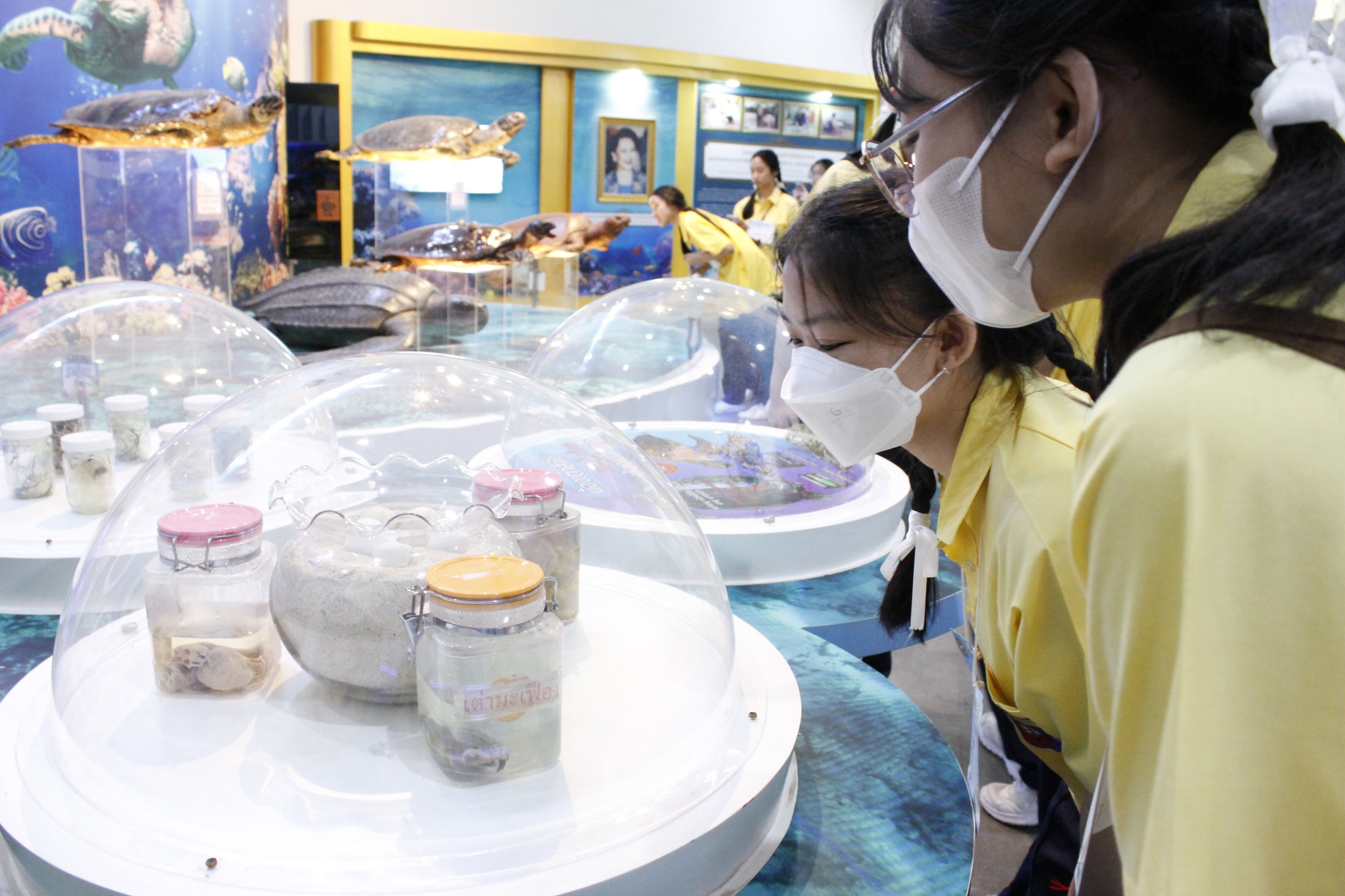 507995065 1130030469151412 5431654723841854056 n